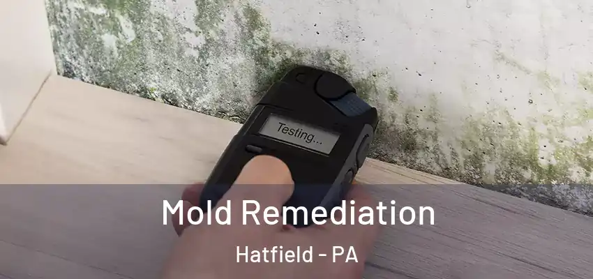 Mold Remediation Hatfield - PA