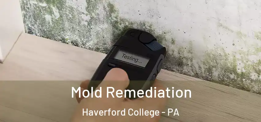 Mold Remediation Haverford College - PA