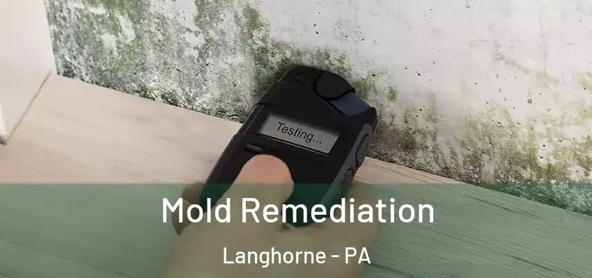 Mold Remediation Langhorne - PA