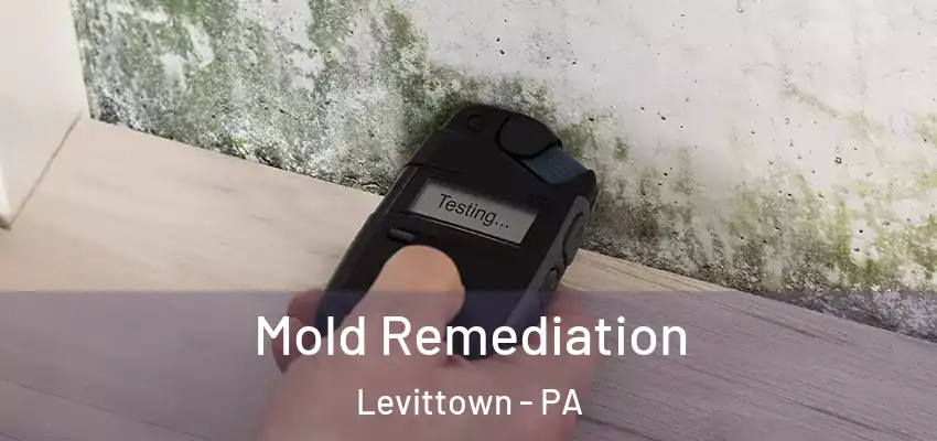  Mold Remediation Levittown - PA