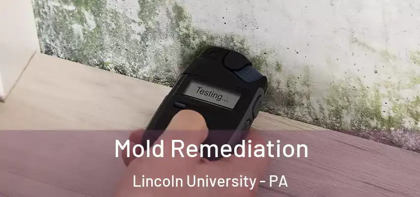  Mold Remediation Lincoln University - PA