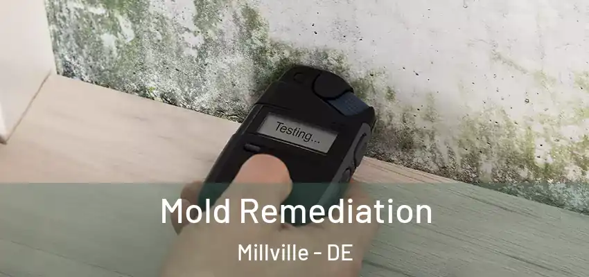  Mold Remediation Millville - DE