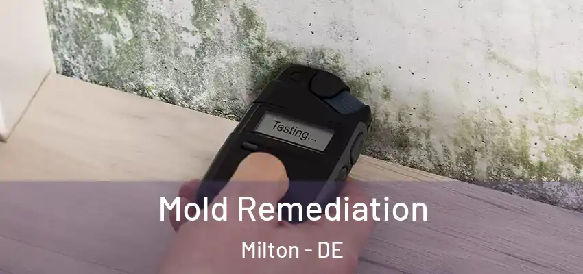Mold Remediation Milton - DE