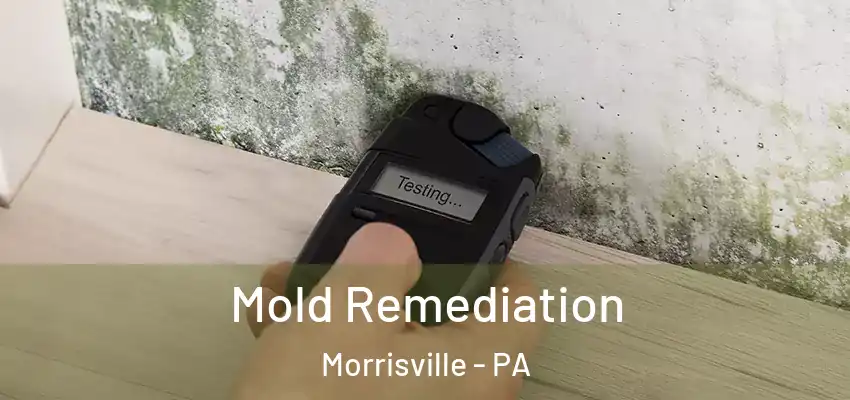 Mold Remediation Morrisville - PA