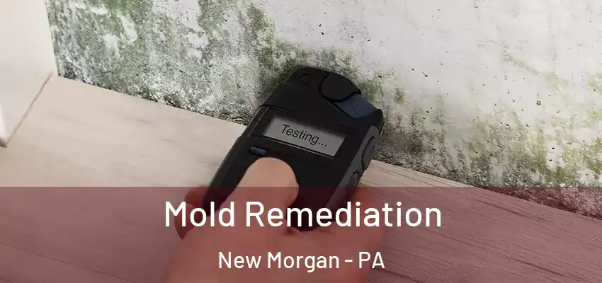  Mold Remediation New Morgan - PA