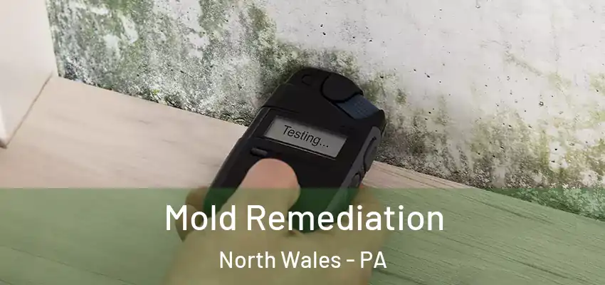  Mold Remediation North Wales - PA