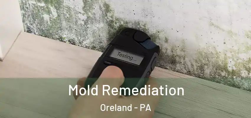  Mold Remediation Oreland - PA