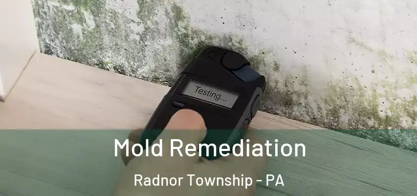  Mold Remediation Radnor Township - PA
