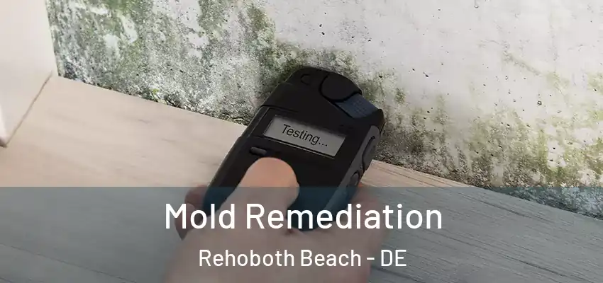 Mold Remediation Rehoboth Beach - DE