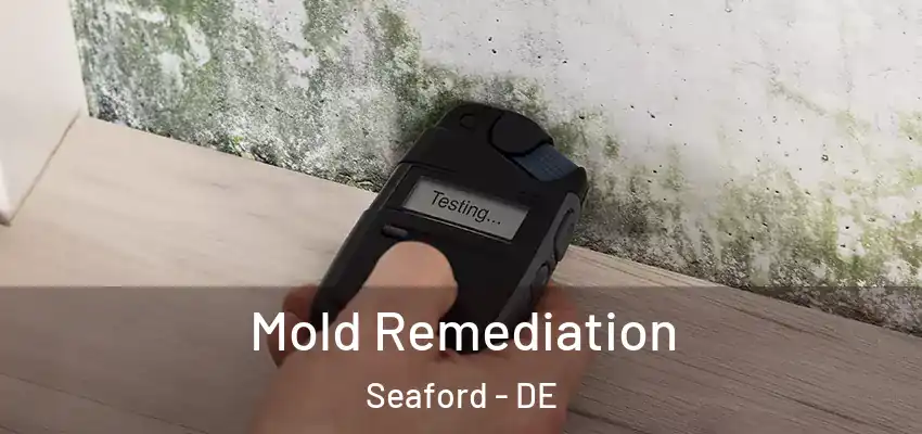 Mold Remediation Seaford - DE