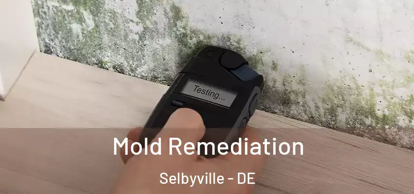 Mold Remediation Selbyville - DE