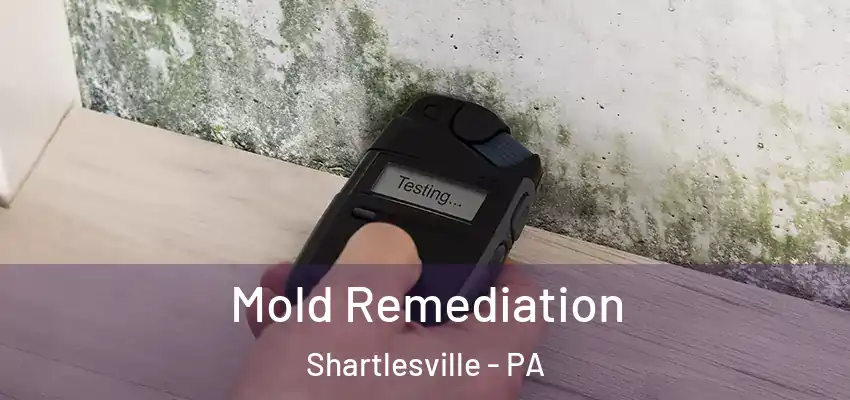  Mold Remediation Shartlesville - PA