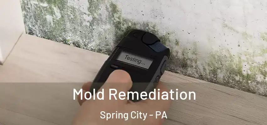 Mold Remediation Spring City - PA