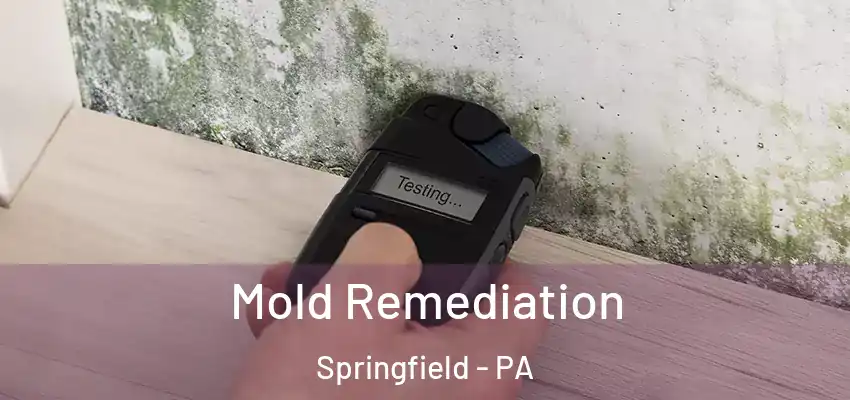  Mold Remediation Springfield - PA