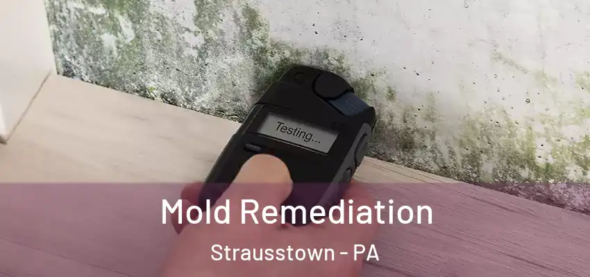 Mold Remediation Strausstown - PA
