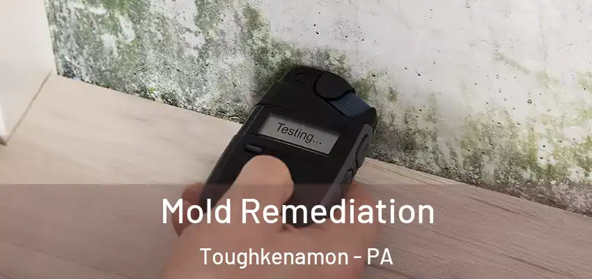 Mold Remediation Toughkenamon - PA