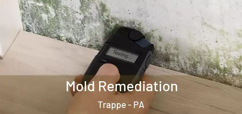 Mold Remediation Trappe - PA