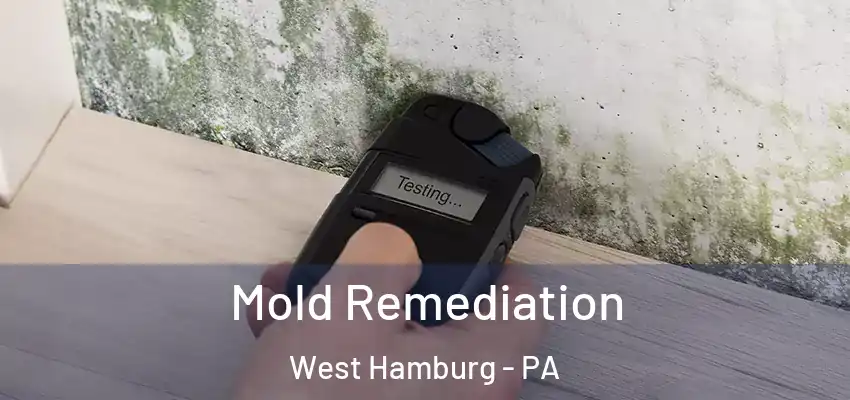  Mold Remediation West Hamburg - PA