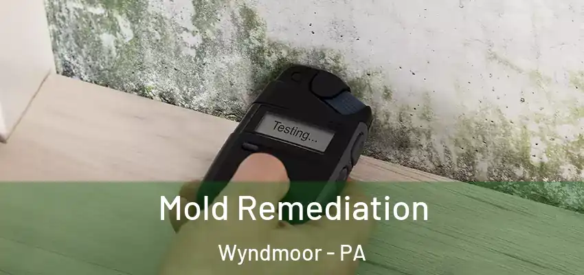  Mold Remediation Wyndmoor - PA