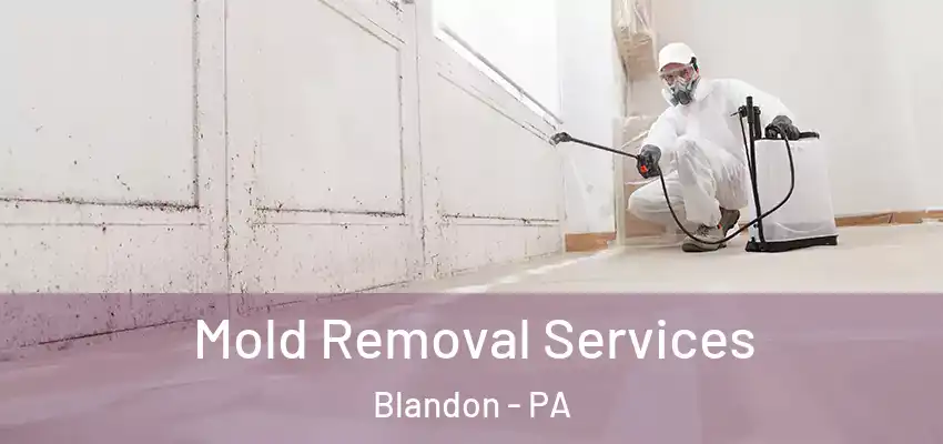 Mold Removal Services Blandon - PA