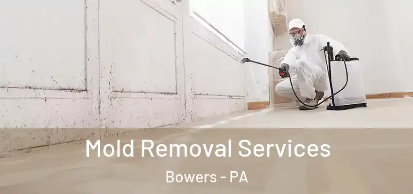  Mold Removal Services Bowers - PA