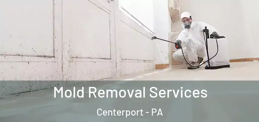 Mold Removal Services Centerport - PA