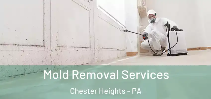 Mold Removal Services Chester Heights - PA