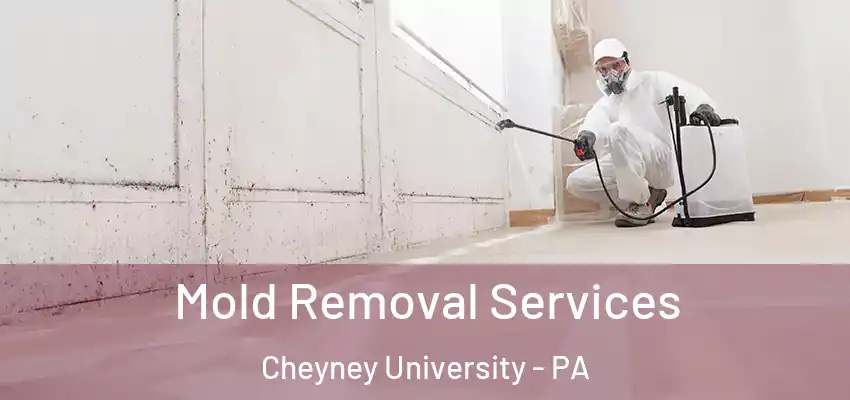 Mold Removal Services Cheyney University - PA
