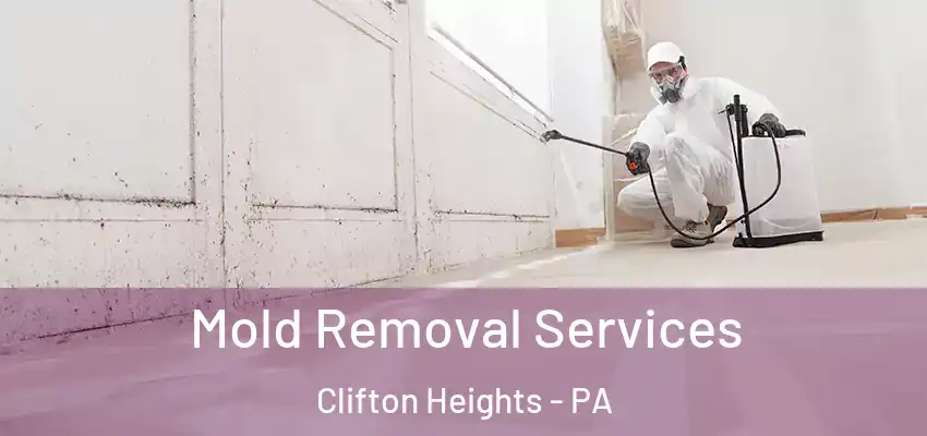 Mold Removal Services Clifton Heights - PA
