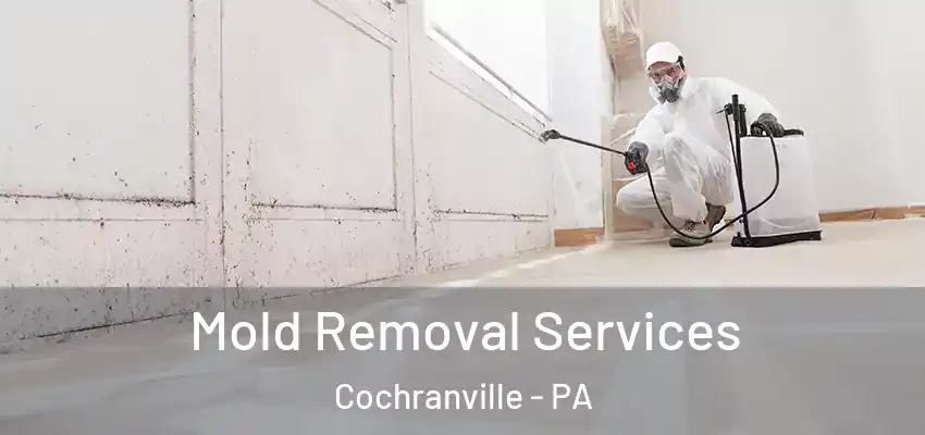 Mold Removal Services Cochranville - PA