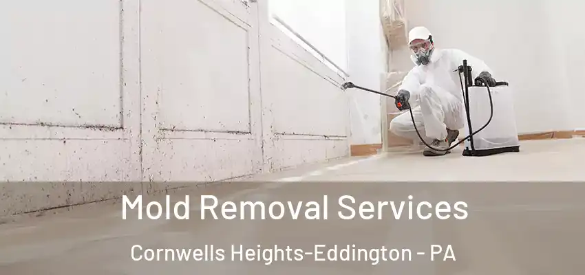 Mold Removal Services Cornwells Heights-Eddington - PA
