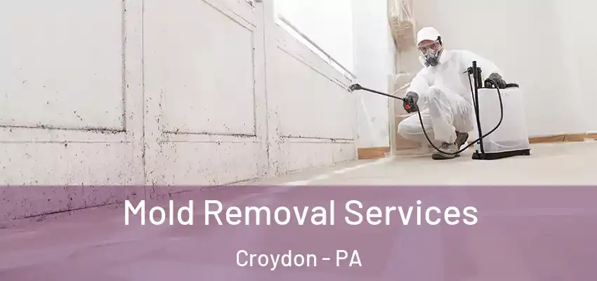 Mold Removal Services Croydon - PA