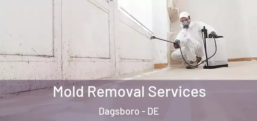 Mold Removal Services Dagsboro - DE