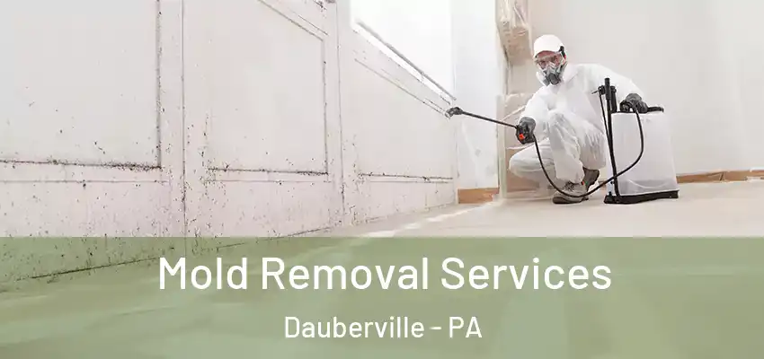 Mold Removal Services Dauberville - PA