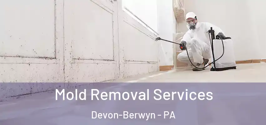 Mold Removal Services Devon-Berwyn - PA