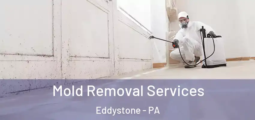 Mold Removal Services Eddystone - PA