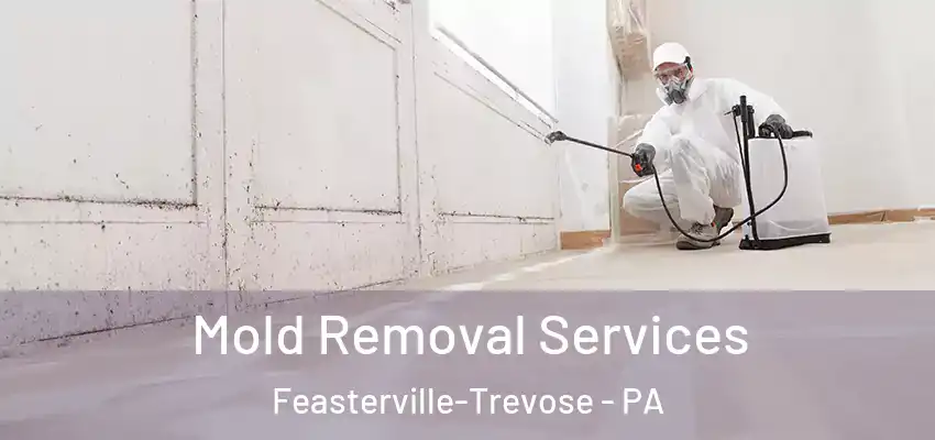  Mold Removal Services Feasterville-Trevose - PA