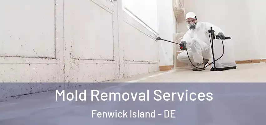  Mold Removal Services Fenwick Island - DE