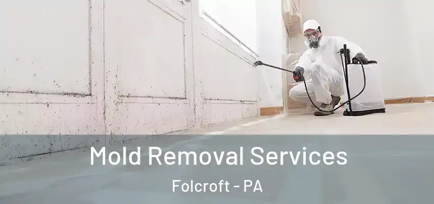 Mold Removal Services Folcroft - PA