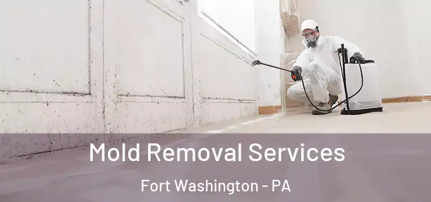  Mold Removal Services Fort Washington - PA