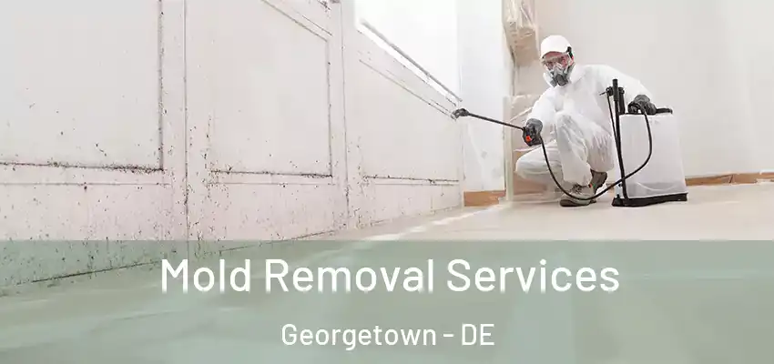 Mold Removal Services Georgetown - DE