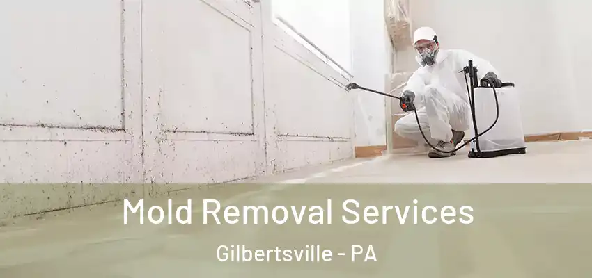  Mold Removal Services Gilbertsville - PA