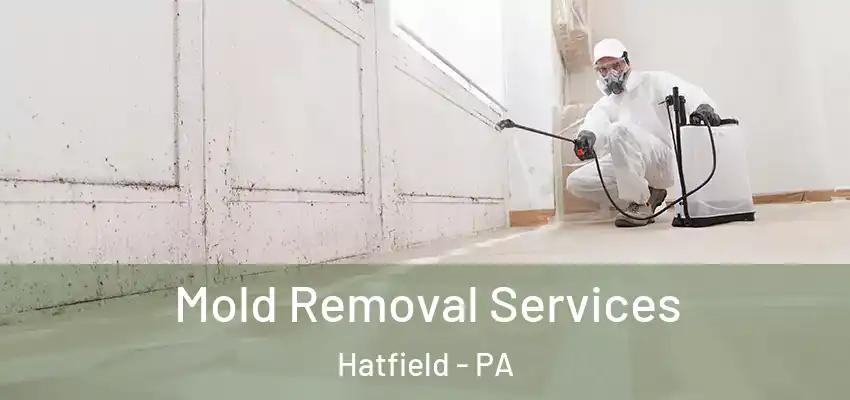 Mold Removal Services Hatfield - PA