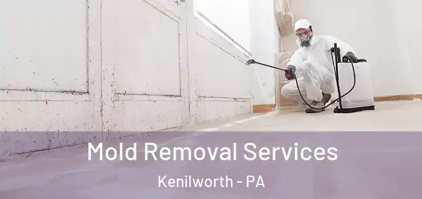Mold Removal Services Kenilworth - PA