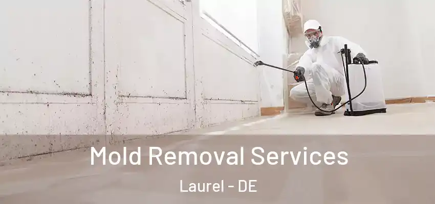  Mold Removal Services Laurel - DE