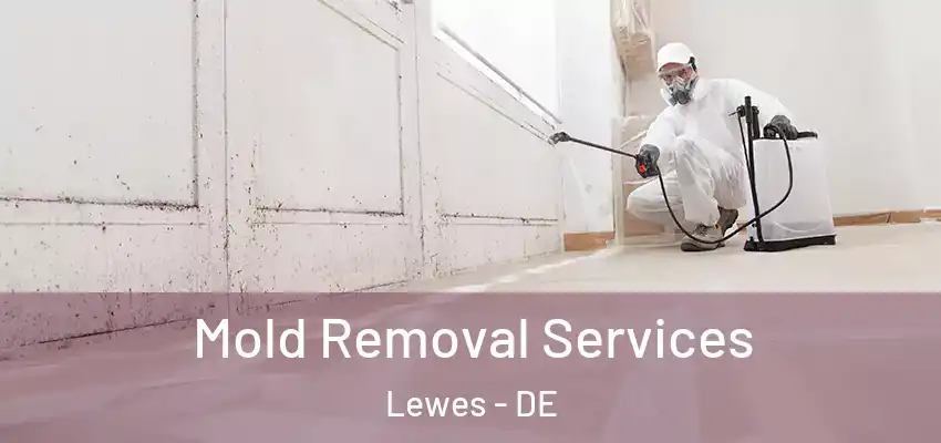 Mold Removal Services Lewes - DE