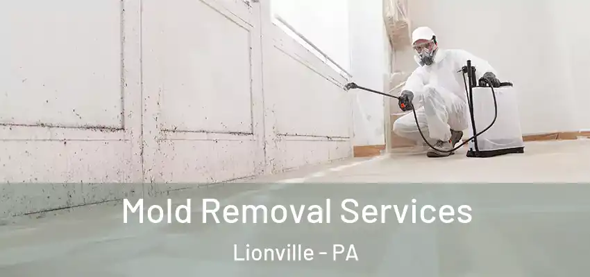 Mold Removal Services Lionville - PA