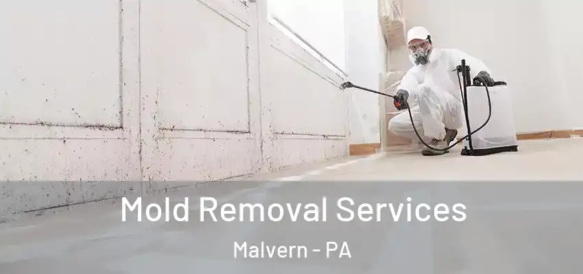  Mold Removal Services Malvern - PA