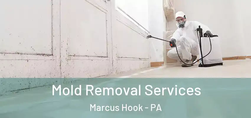 Mold Removal Services Marcus Hook - PA
