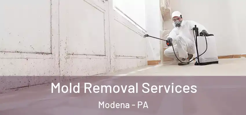 Mold Removal Services Modena - PA